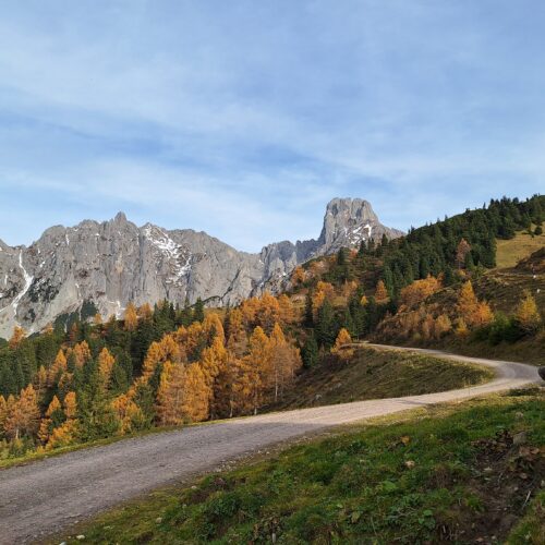 Herbst Berge Weg