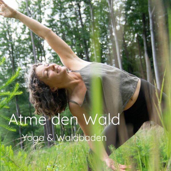 Atme den Wald - Yoga mit Elementen des Waldbadens
