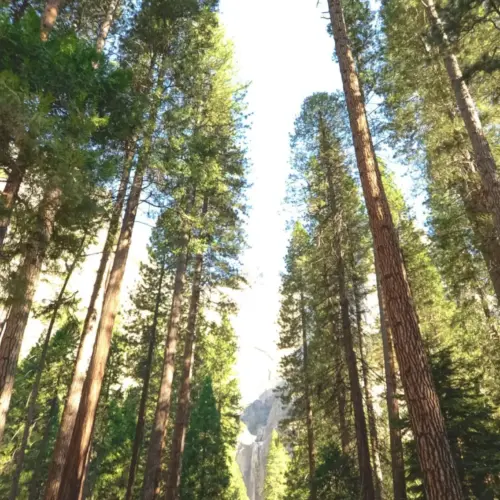 Atem-Raum | offene Atemgruppe in Pressbaum (Einzeltermin)