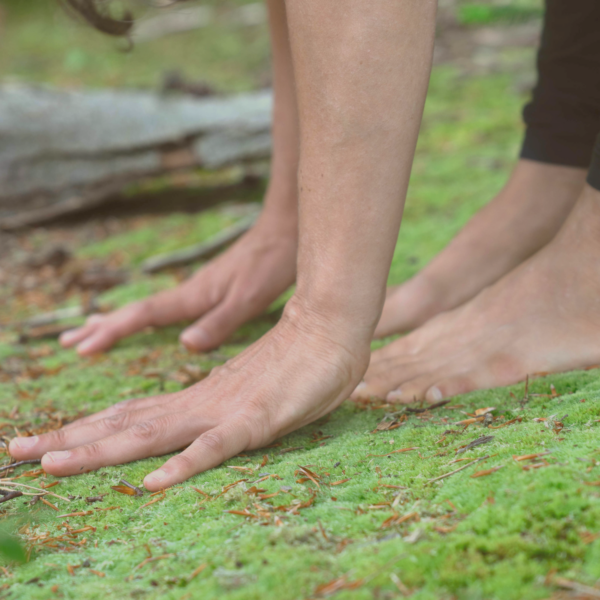 Geführte Naturmeditation für draußen